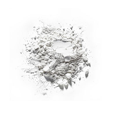 into-life-